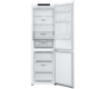 COMBINADO LG - GBV 3100 CSW