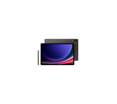 Samsung Tab S9+ WIFI only 256GB/12GB Graphite EU
